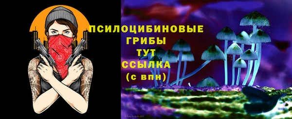 шишки Протвино