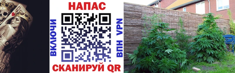Марихуана THC 21%  Семикаракорск 